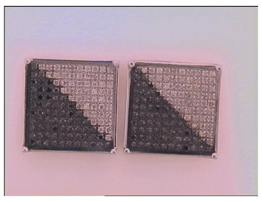 10kt White Gold 3/4ct Diamond Micro-pave Earring