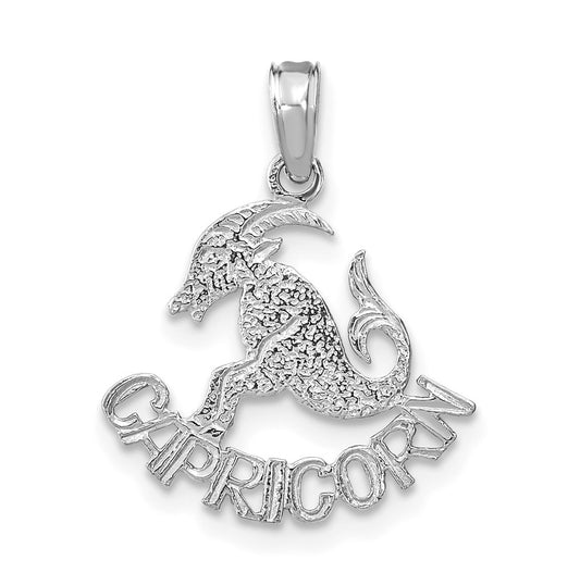 14K White Gold CAPRICORN Zodiac Charm