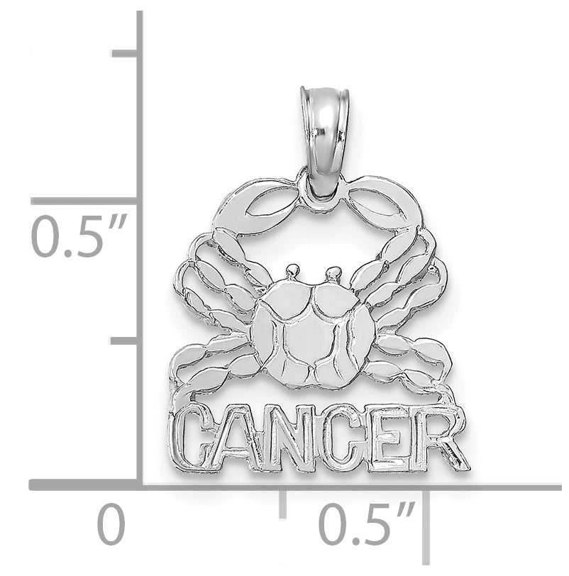 14K White Gold CANCER Zodiac Charm