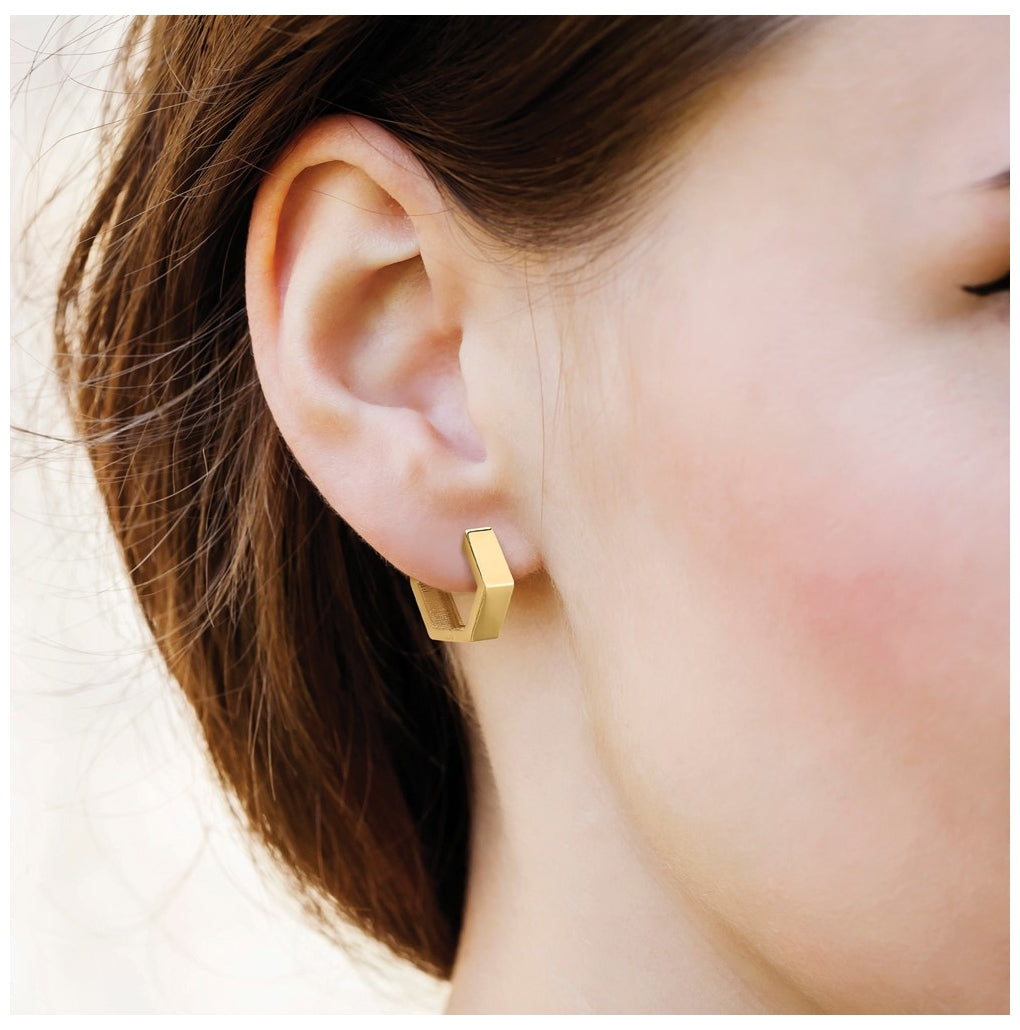 14k Yellow Gold Polished Hexagon Hinged Hoop Earrings