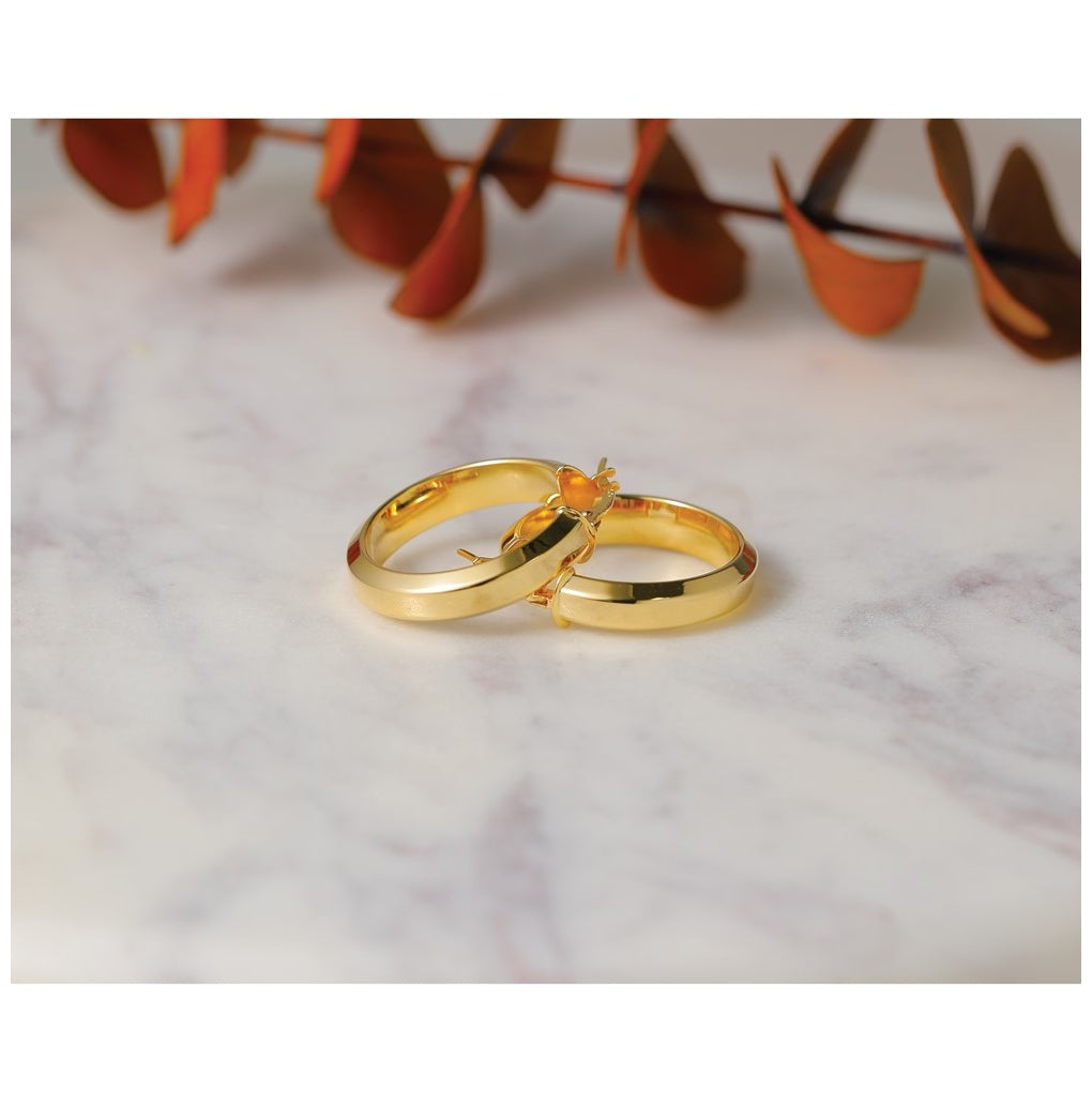 14k Yellow Gold Polished Hoop Earrings