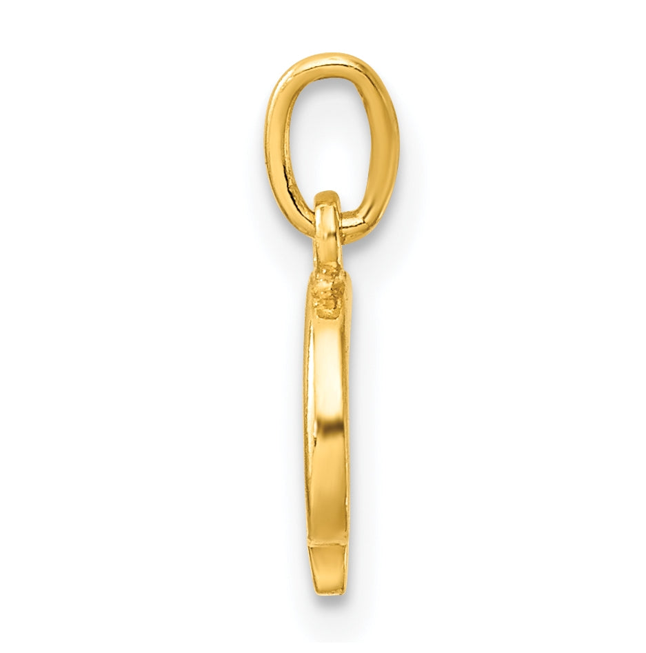 Sterling Silver Gold-tone Polished Letter G Initial Charm