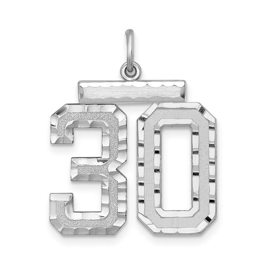 Sterling Silver Large #30 Charm