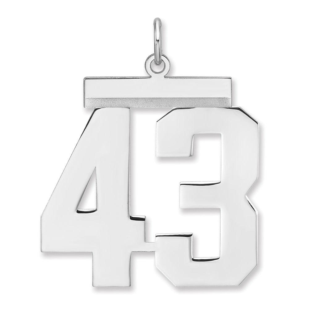 Sterling Silver/Rhodium-plated Polished Number Charm