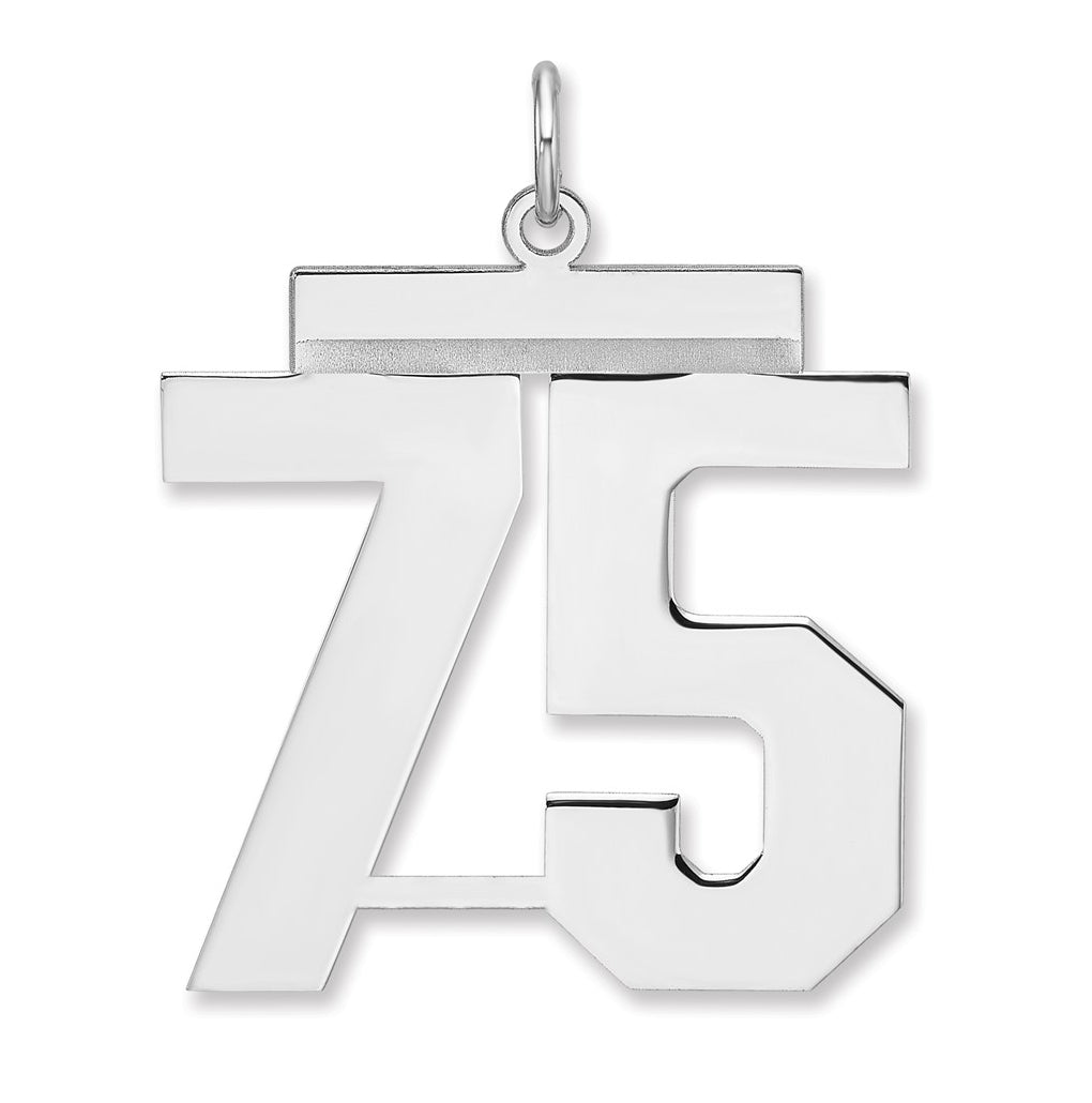 Sterling Silver/Rhodium-plated Polished Number Charm