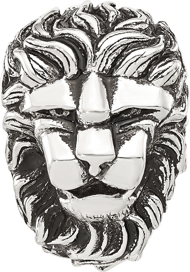 Sterling Silver Reflections Antiqued Lion Hinged Bead