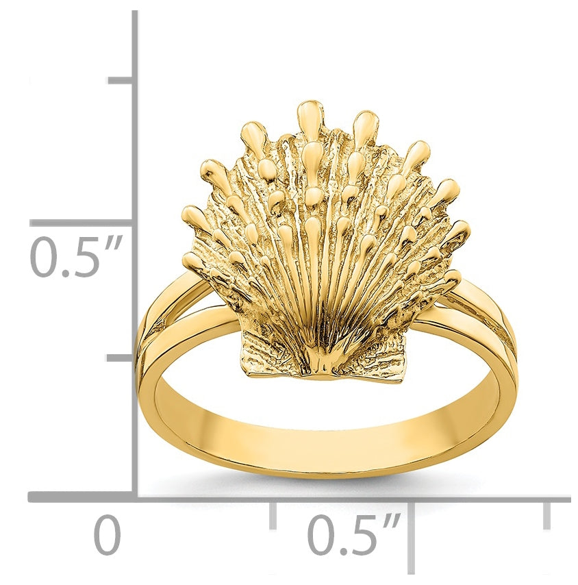 14K Yellow Gold Lion's Paw Shell Ring
