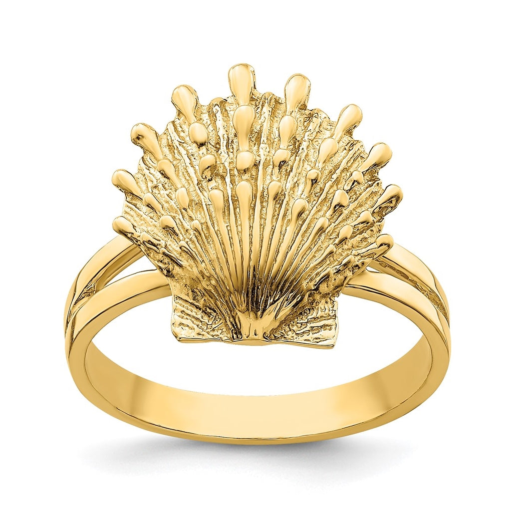 14K Yellow Gold Lion's Paw Shell Ring