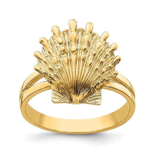 14K Yellow Gold Lion's Paw Shell Ring