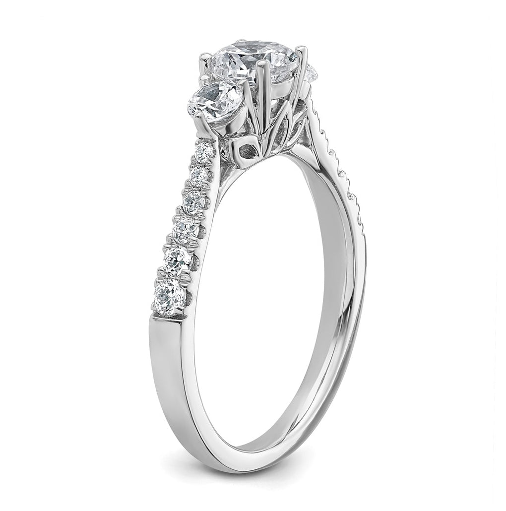14k White Gold 1 carat Lab Grown Diamond VS+ F+ Round Complete Three Stone Engagement Ring