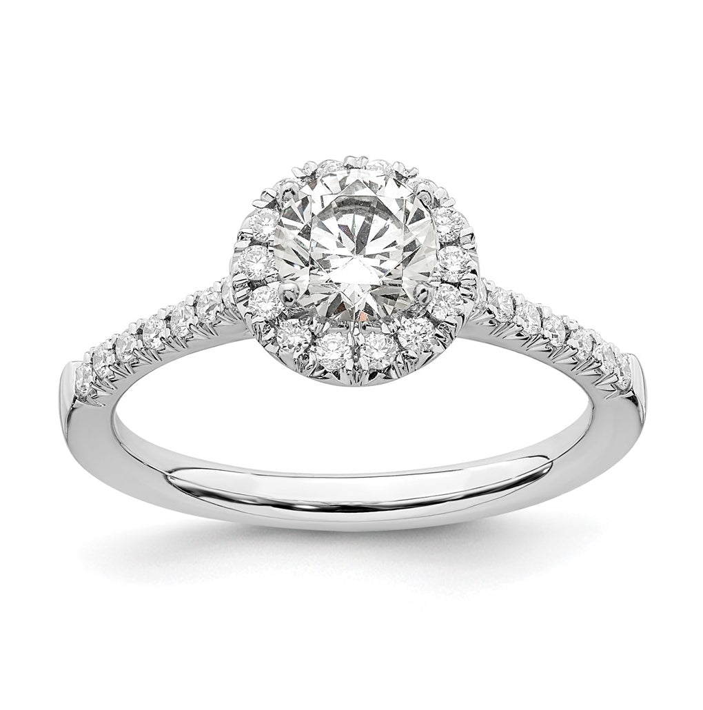 14k White Gold Halo (Holds 1/2 carat (5.2mm) Round Center) 1/4 carat Diamond Semi-mount Engagement Ring