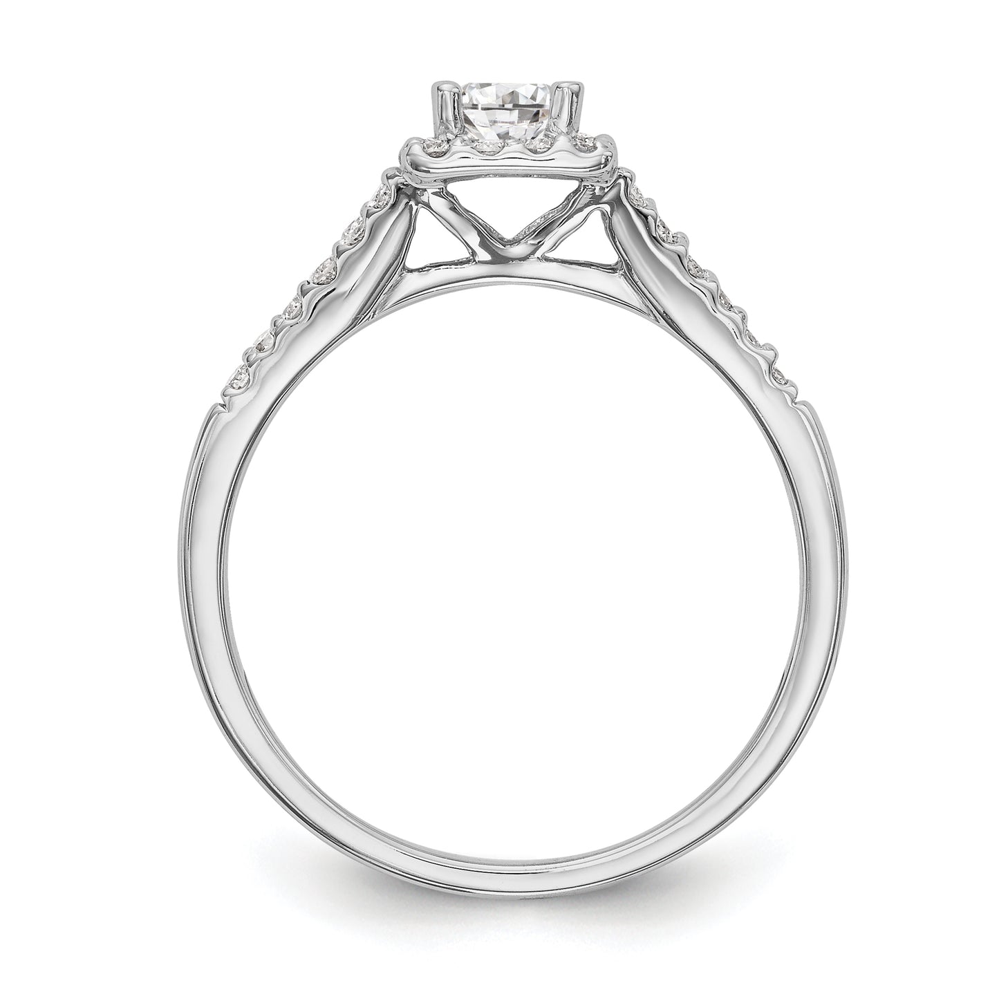 14K White Gold Halo Plus (Holds 1/3 carat (4.00mm) Princess Center) 1/4 carat Diamond Semi-Mount Engagement Ring