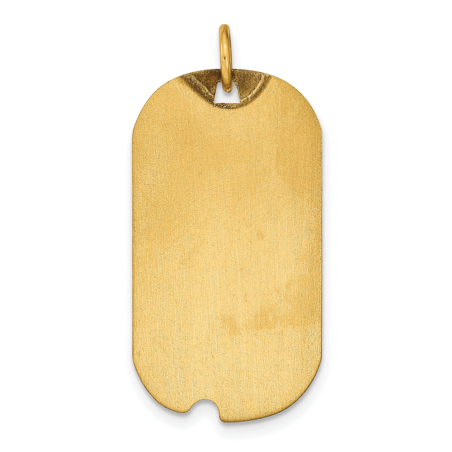Sterling Silver Gold plated Dog Tag Picture Jewelry Charm