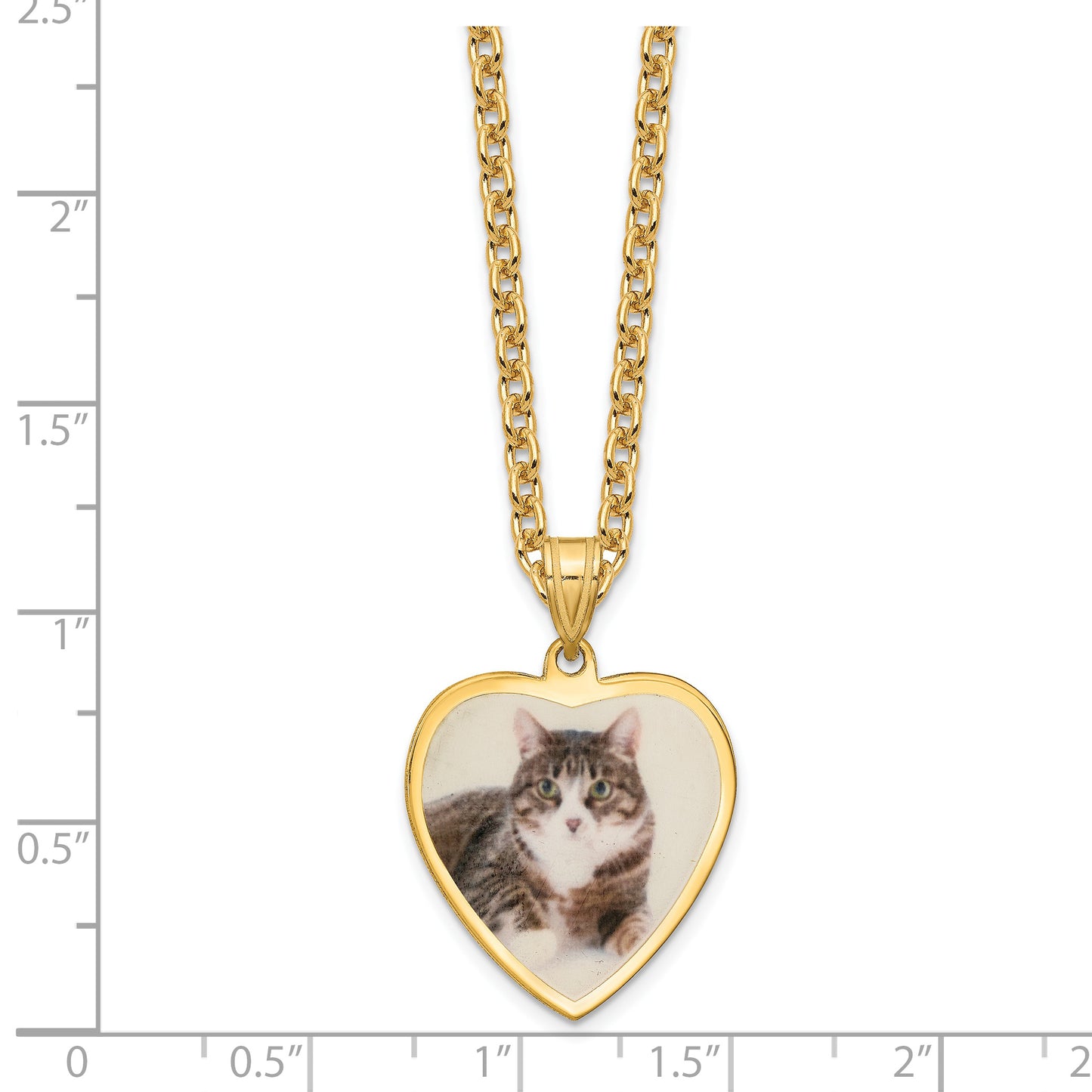Sterling Silver Gold plated Medium Heart Picture Jewelry Necklace