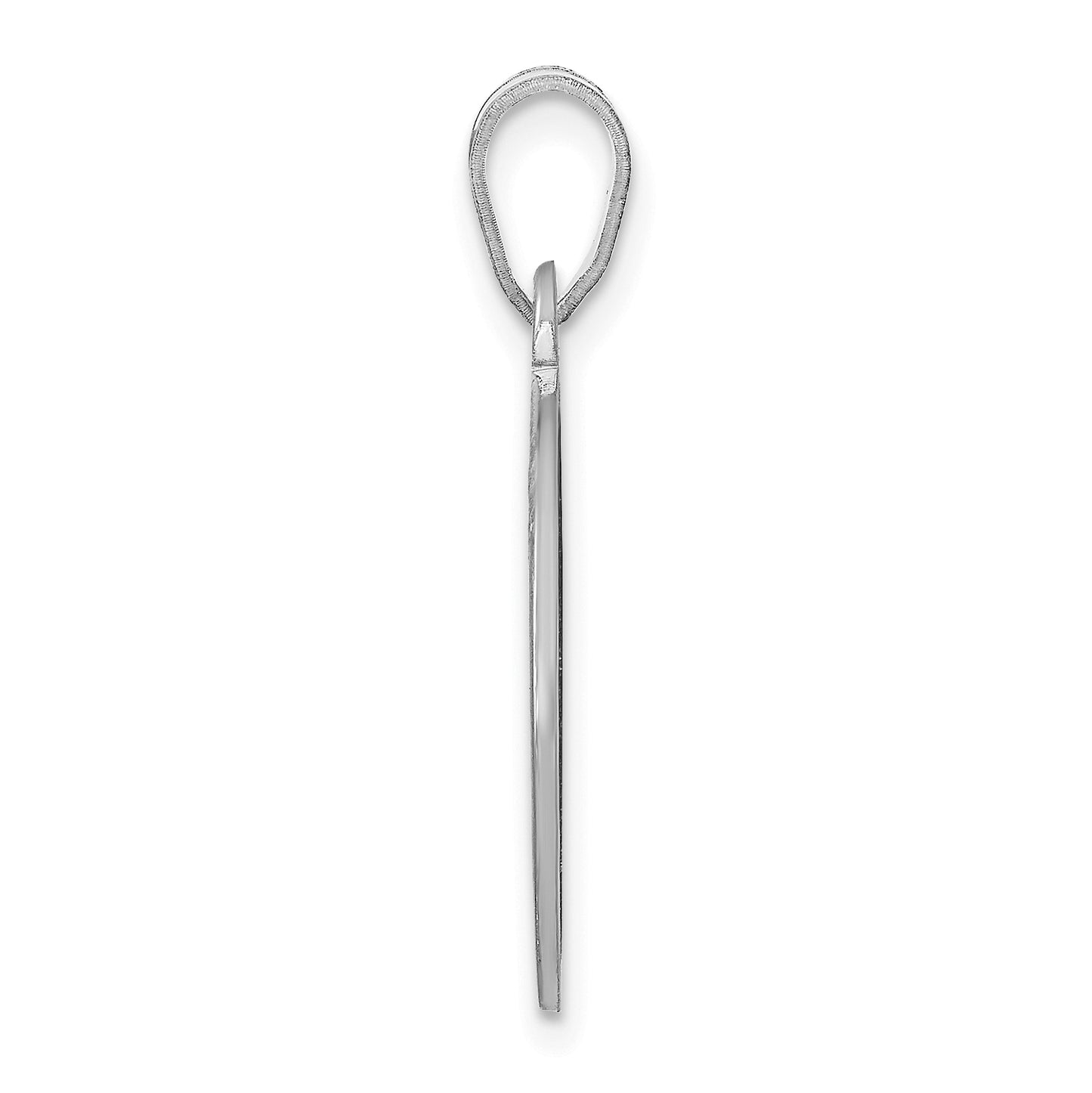 Sterling Silver Rhodium plated Medium Picture Jewelry Disc Pendant