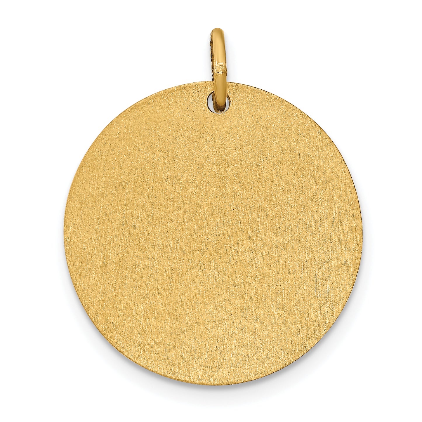 Sterling Silver Gold Plated Medium Picture Jewelry Disc Charm