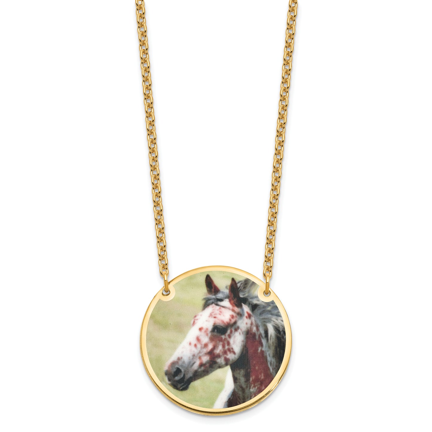 Sterling Silver Gold plated Large Picture Jewelry Disc Necklace