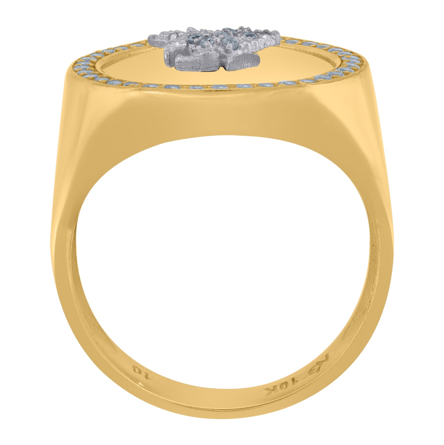 10K Two-Tone Gold Mens Cubic-Zirconia Eagle Bird Wildlife Ring