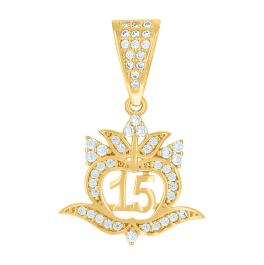 10K Yellow Gold Womens Cubic-Zirconia Apple Shaped 15 Quinceanera Charm Pendant