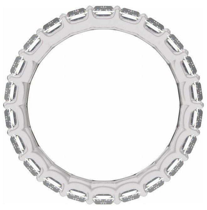 14K Yellow Or White Gold Or Platinum Straight Baguette Vs2, E-F  Polished Lab-Grown Diamond Low Profile Eternity Band