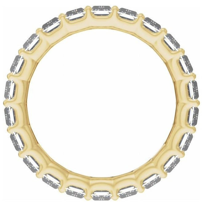 14K Yellow Or White Gold Or Platinum Straight Baguette Vs2, E-F  Polished Lab-Grown Diamond Low Profile Eternity Band