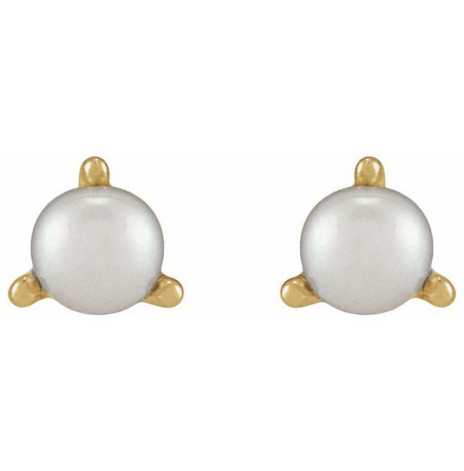14K Yellow Gold Each Tension Back Polished Cultured White Seed Pearl 3-Prong Earring
