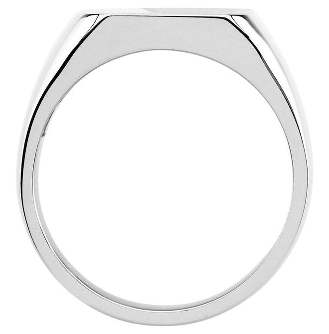 14K Yellow Or White Gold Or Sterling Silver Brush Polished Signet Ring Size 11