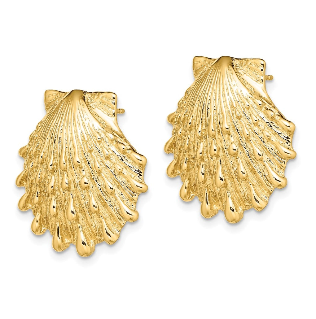 14K Yellow Gold Lion's Paw Shell Post Earrings – Elegant Jewelry Gift for Birthday, Anniversary, Engagement, Wedding
