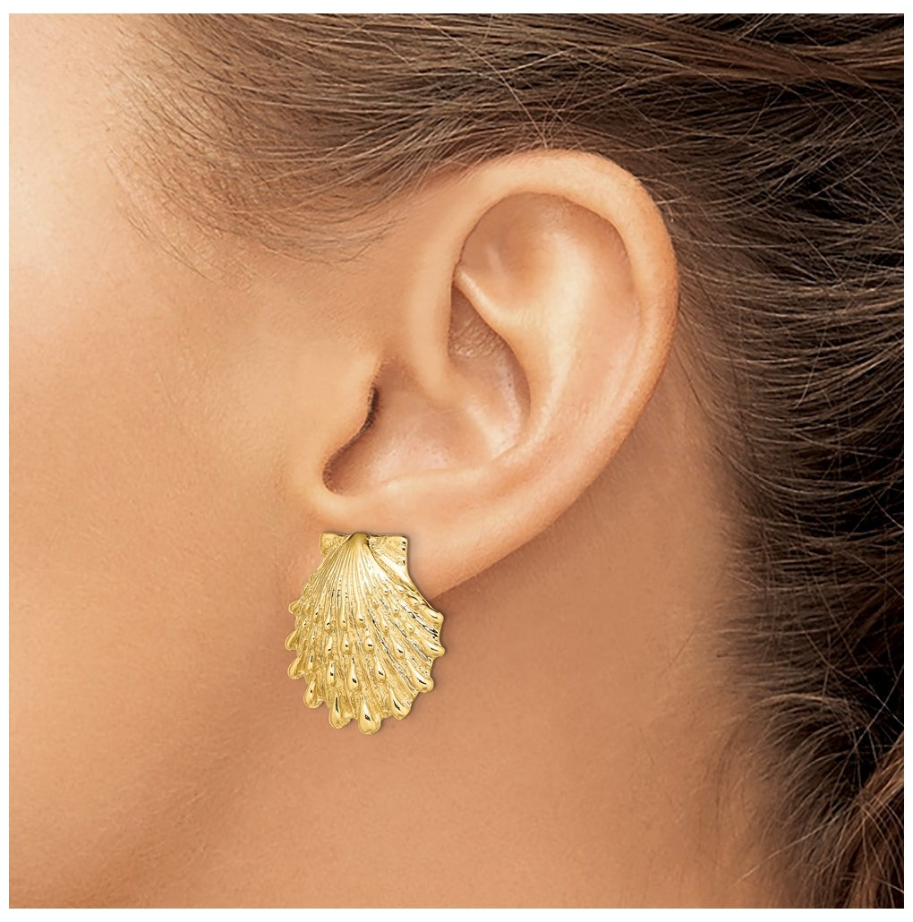 14K Yellow Gold Lion's Paw Shell Post Earrings – Elegant Jewelry Gift for Birthday, Anniversary, Engagement, Wedding