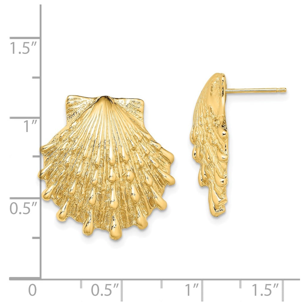 14K Yellow Gold Lion's Paw Shell Post Earrings – Elegant Jewelry Gift for Birthday, Anniversary, Engagement, Wedding
