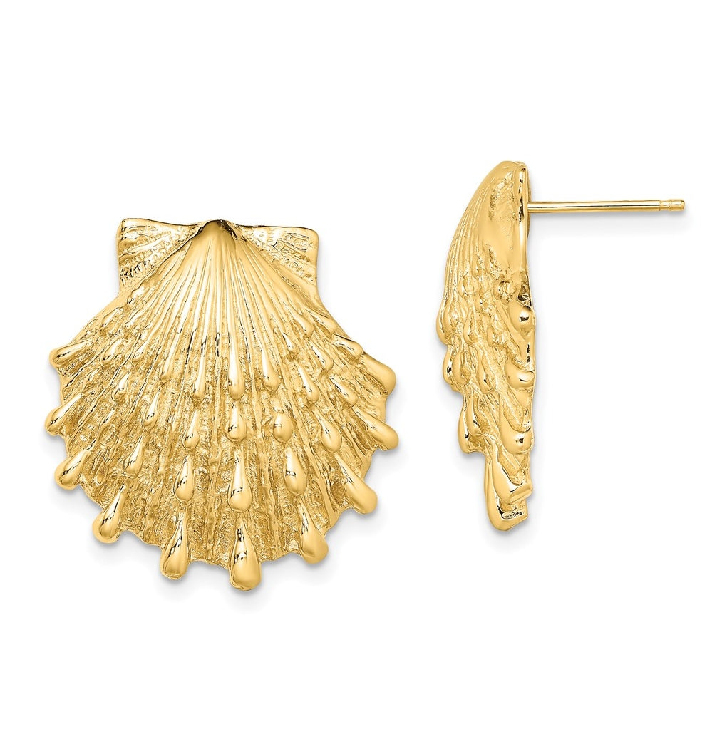 14K Yellow Gold Lion's Paw Shell Post Earrings – Elegant Jewelry Gift for Birthday, Anniversary, Engagement, Wedding