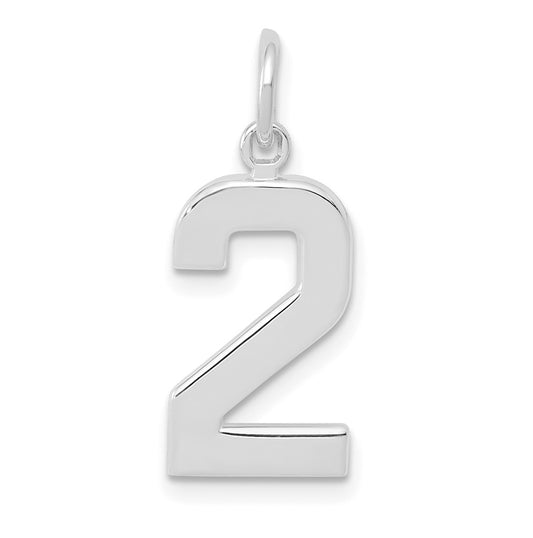 14K White Gold  Medium Polished Number 2 Charm