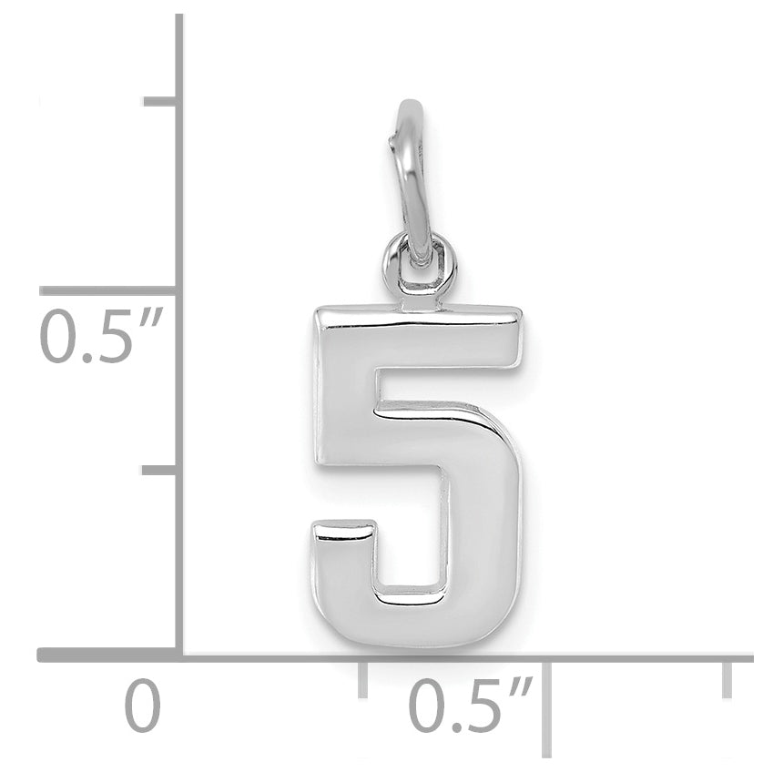 14K White Gold Small Polished Number 5 Charm