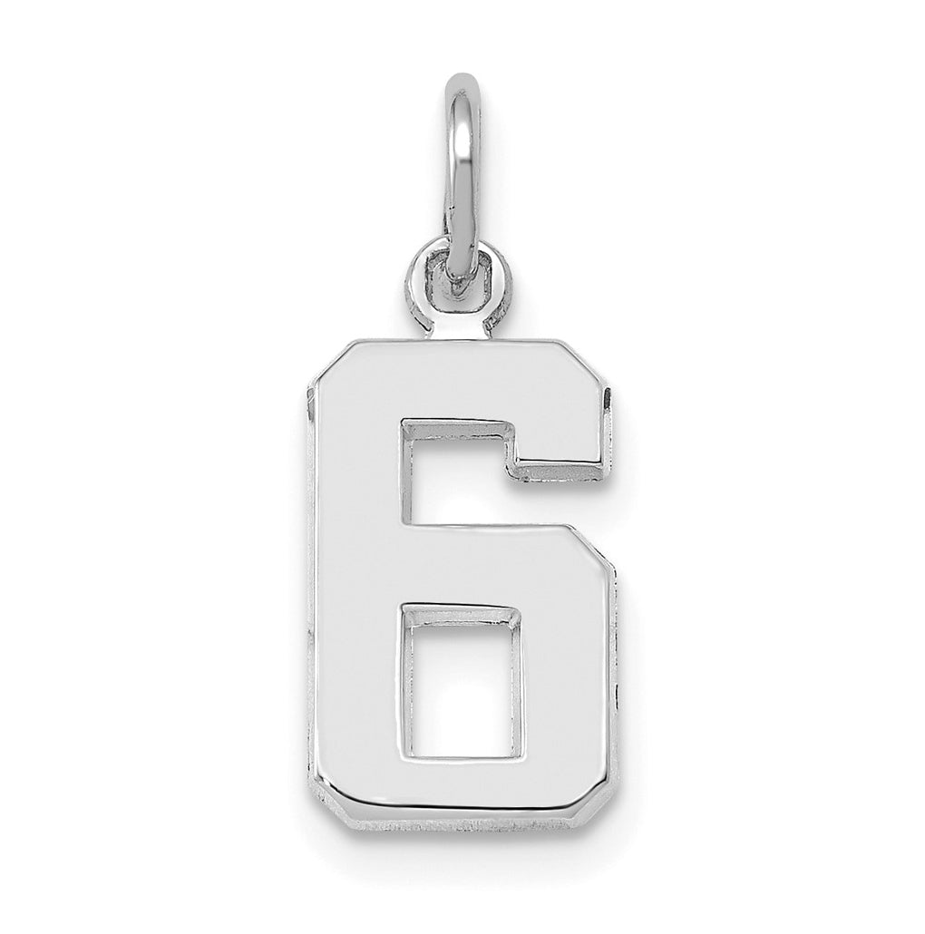 14K White Gold Small Polished Number 6 Charm