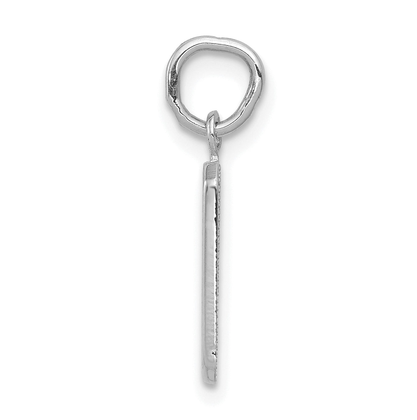 14K White Gold Small Polished Number 9 Charm