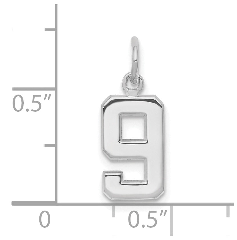 14K White Gold Small Polished Number 9 Charm