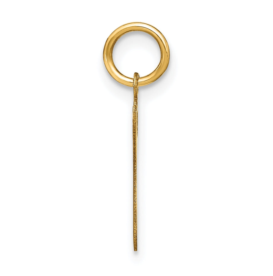 14K Yellow Gold Lower case Letter G Initial Charm