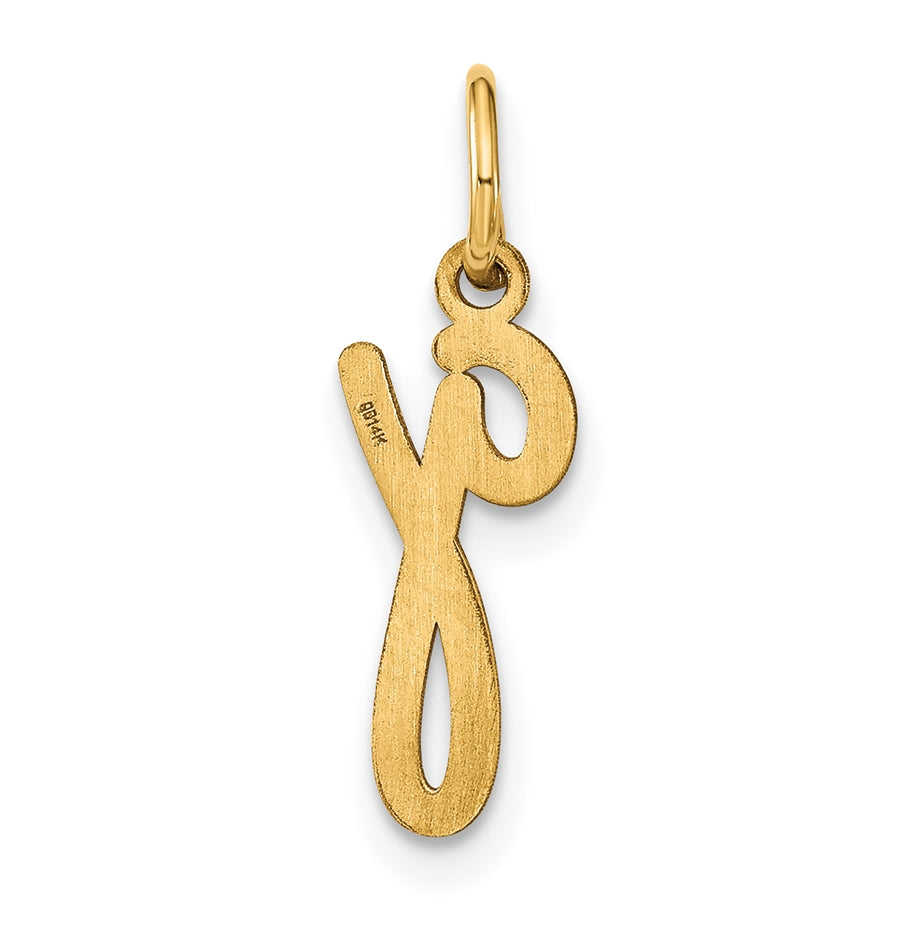 14K Yellow Gold Lower case Letter G Initial Charm
