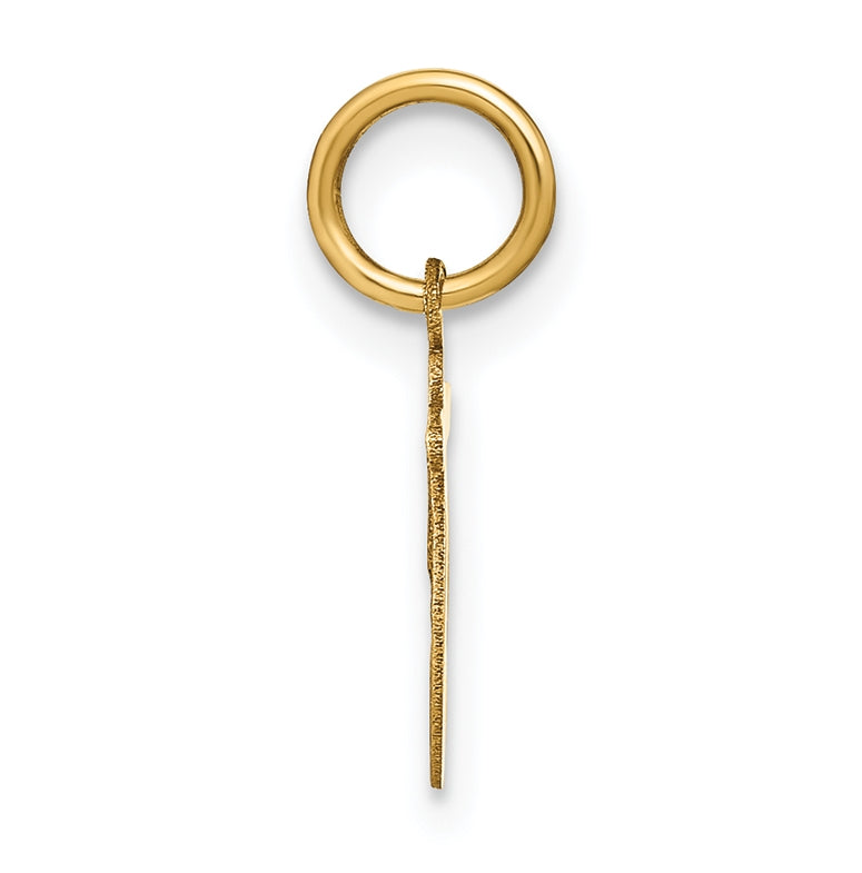 14K Yellow Gold Lower case Letter T Initial Charm