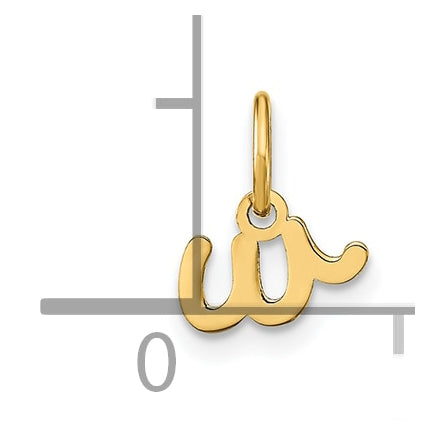 14K Yellow Gold Lower case Letter W Initial Charm