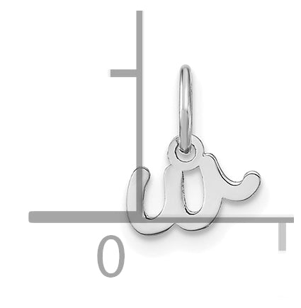14K White Gold Lower case Letter W Initial Charm