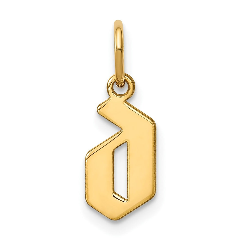 14K Yellow Gold Lower case Letter D Initial Pendant