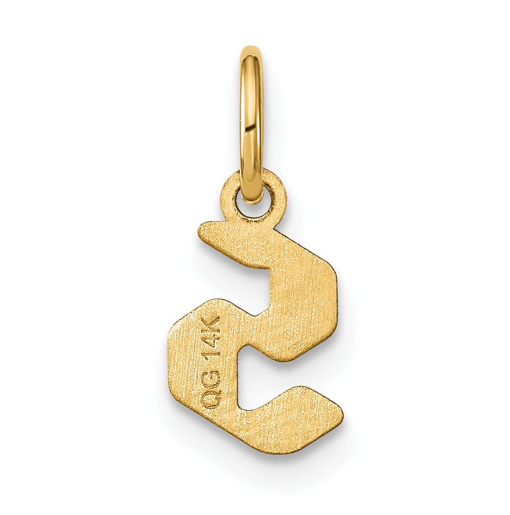 14K Yellow Gold Lowercase Letter S Initial Pendant