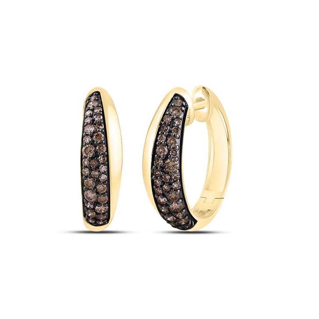 10K Yellow Gold 3/4 Cttw Natural Gem Fashion Hoop Earring