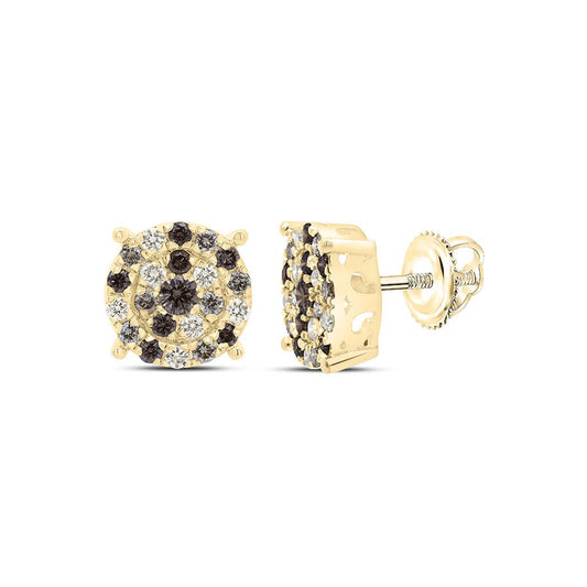 10K Yellow Gold 7/8 Cttw Natural Diamond Fashion Cognac Ombre Diamond Round Earring