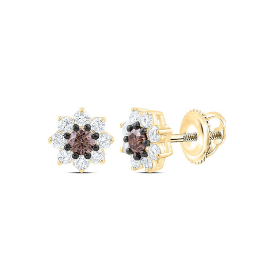 10K Yellow Gold 1 1/5 Cttw Natural Diamond 1/4 Cttw Round Brown Fashion Cognac Natural Flower Earring