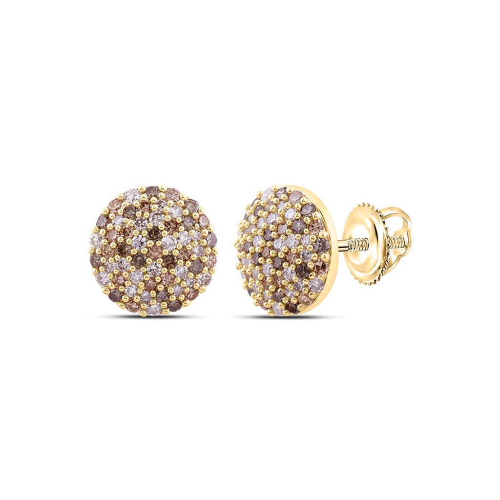 10K Yellow Gold 5/8 Cttw Natural Diamond Fashion Round Earring