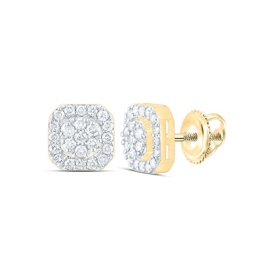 10K Yellow Gold 1/2 Cttw Natural Diamond Octagon Mens Earring