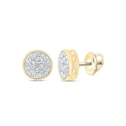 10K Yellow Gold 1/4 Cttw Natural Diamond Fashion Round Earring
