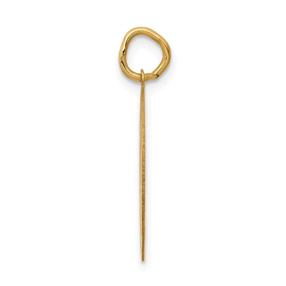 14k Yellow Gold GRADUATION DAY Disc Engravable Charm Pendant Jewelry Gifts (Length 0.98" Width 0.7")